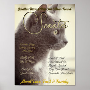 Poster Create Your Own Pet Magazine Style Cover