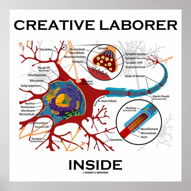 Poster Creative Laborer Dentro (Neuron/Synapse) (Frente)