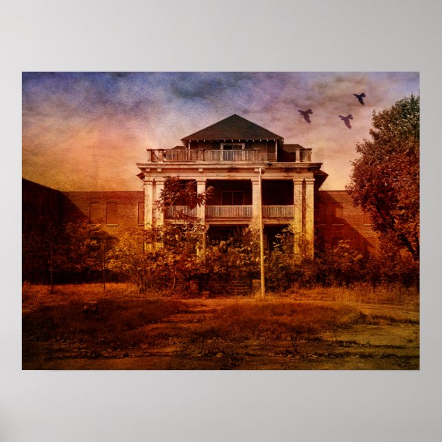 Pôster Creative Madness - Asilo (Frente)