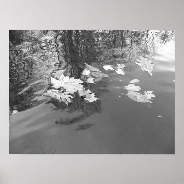 Poster Creek (Frente)