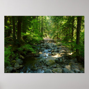 Pôster Creek de Água Raiva no Parque Nacional de Monte R