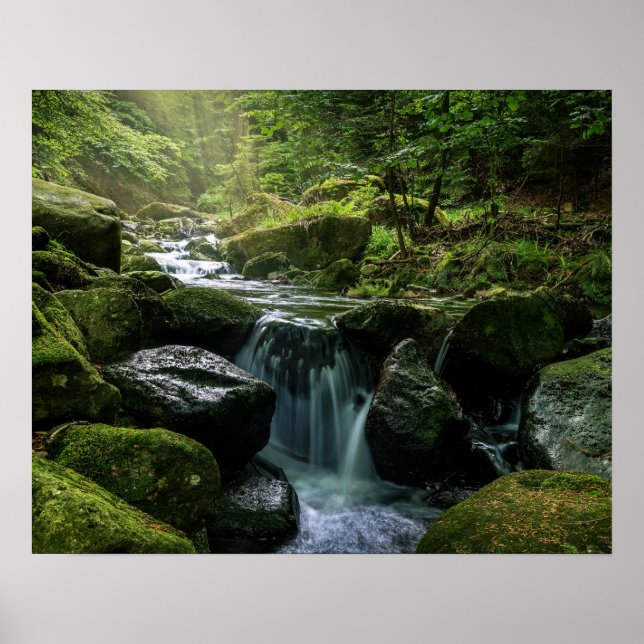 Poster Creek Flutuante, Rochas Verde-Mossy, Natureza Flor (Frente)