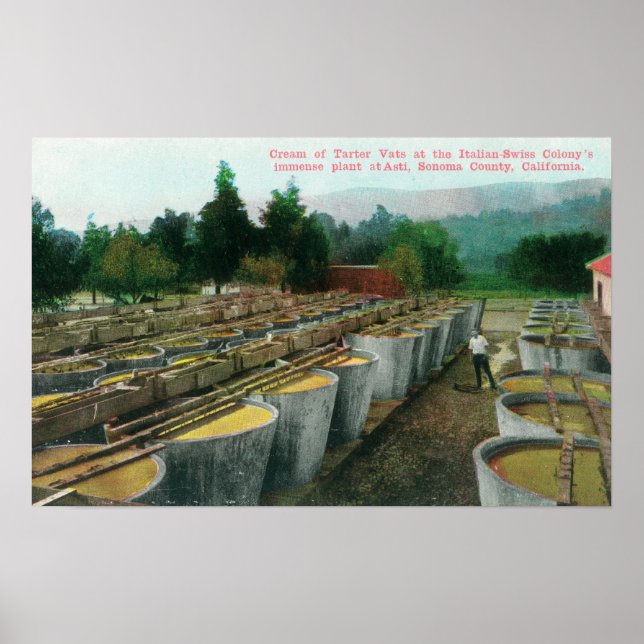Pôster Creme de Tartar Vats View no Colon Italiano-Suíço (Frente)
