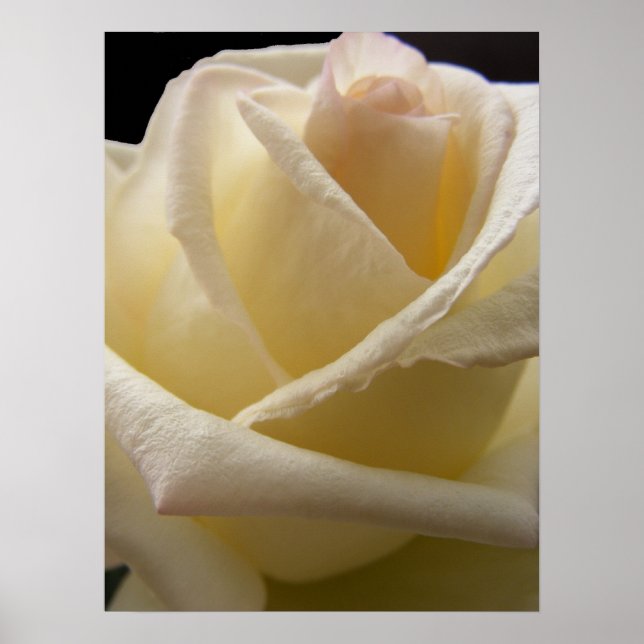 Poster Creme Perfection (Frente)