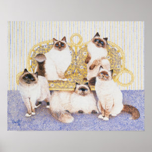 Pôster Cremes de chocolate