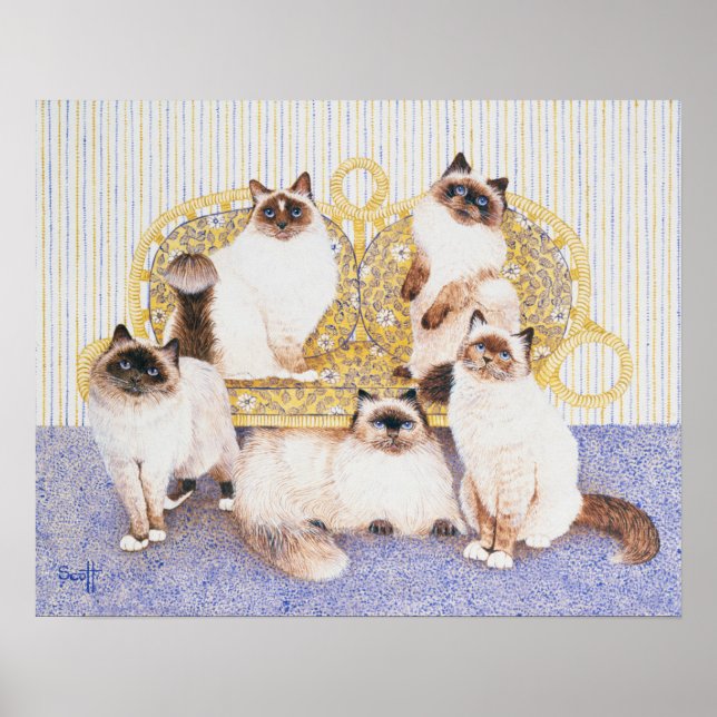 Pôster Cremes de chocolate (Frente)