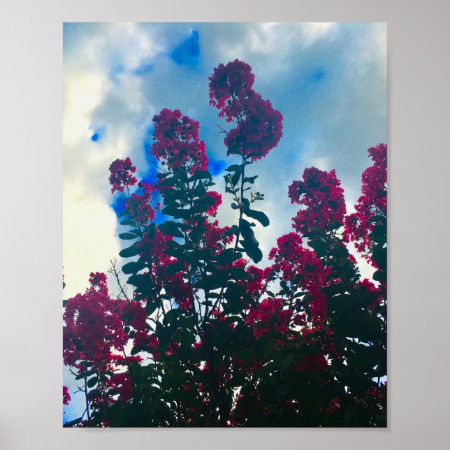 Poster crepe myrtle on a cloudy day (Frente)