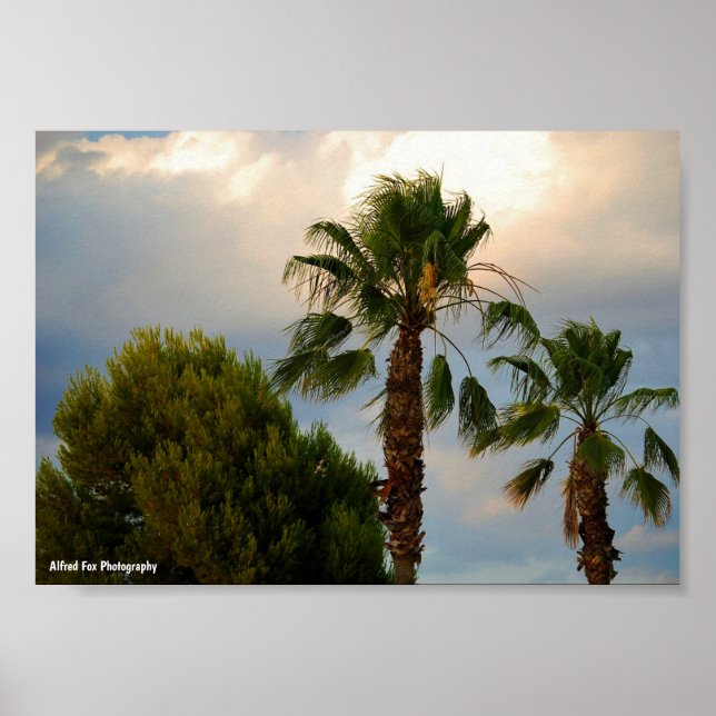 Poster Crepúsculo de Palma Tropical (Frente)
