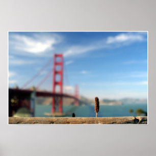 Poster Crescimento acima no Golden Gate