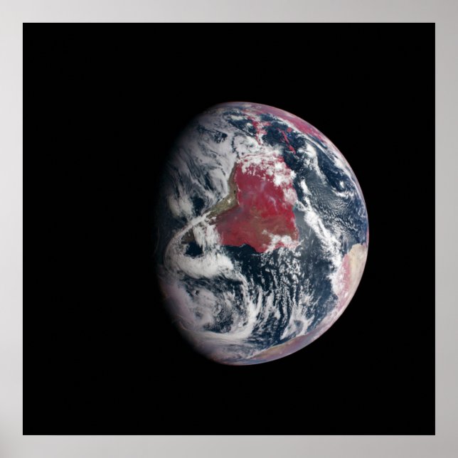 Poster Crescimento De Plantas No Planeta Terra. (Frente)