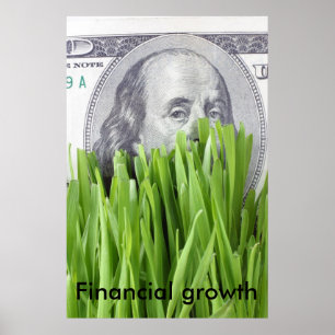 Poster Crescimento financeiro