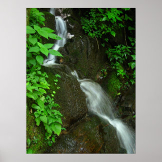 Pôster Crescimento gradual