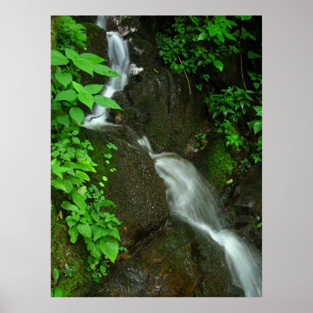 Pôster Crescimento gradual (Frente)