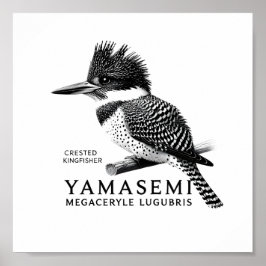 Poster Crested Kingfisher Black & White Art Print
