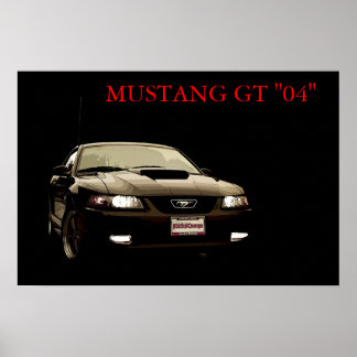 Pôster Criado para Race