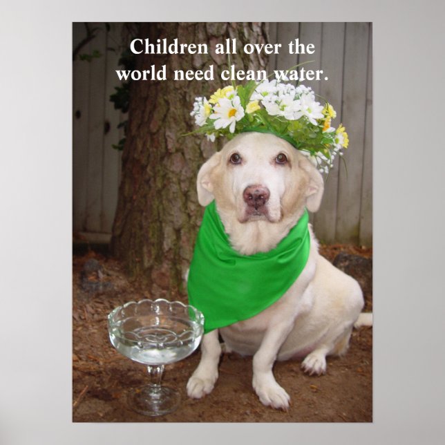 Pôster Crianças em todo o mundo precisam de água limpa. (Frente)