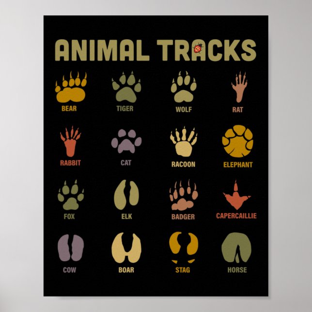 Poster Crianças Rastreiam Animais Selvagens Aprendem Cria (Frente)