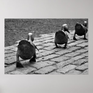 Pôster Criar caminho para os Ducklings