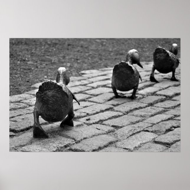 Pôster Criar caminho para os Ducklings (Frente)