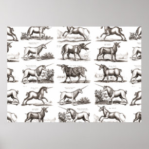 Poster Criatura Mágica Clássica do Unicórnio Antiquado