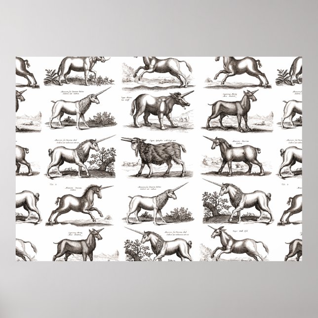 Poster Criatura Mágica Clássica do Unicórnio Antiquado (Frente)