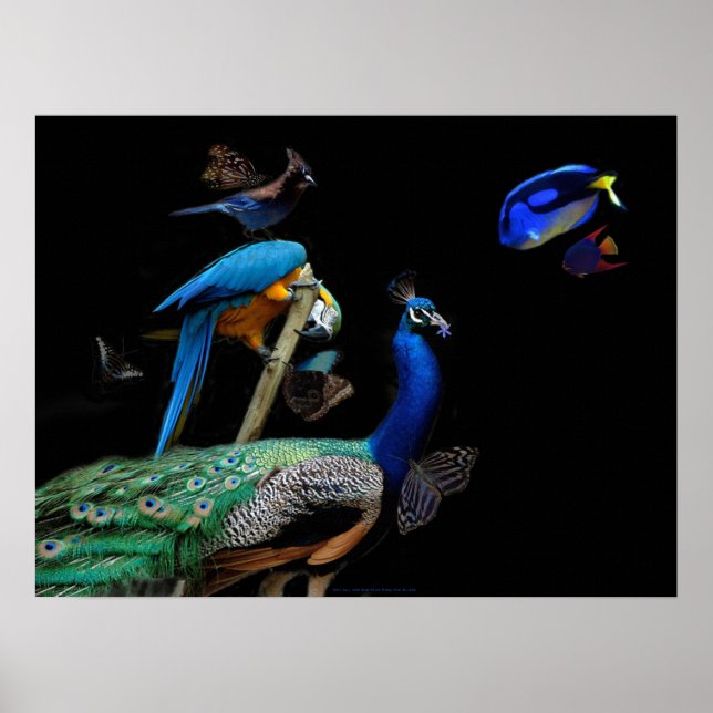 Poster Criaturas azuis (Frente)