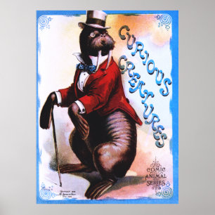 Poster Criaturas curiosas - selo