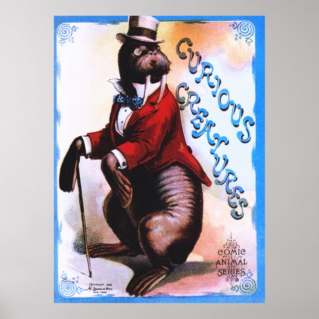 Poster Criaturas Curiosas - Selo (Frente)