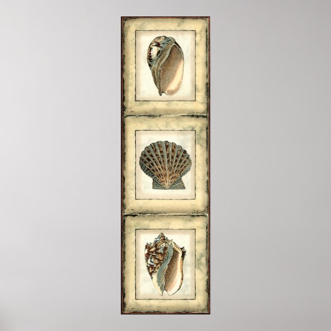 Pôster Criaturas marinhas pela costa (Frente)