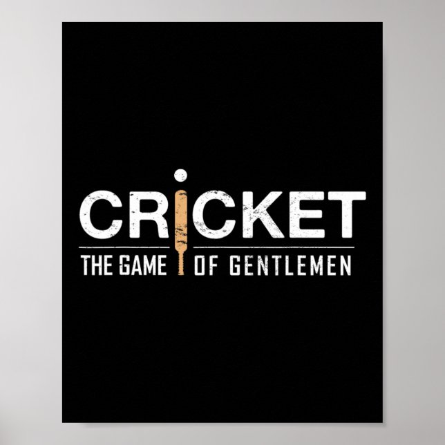 Poster Cricket 14  (Frente)