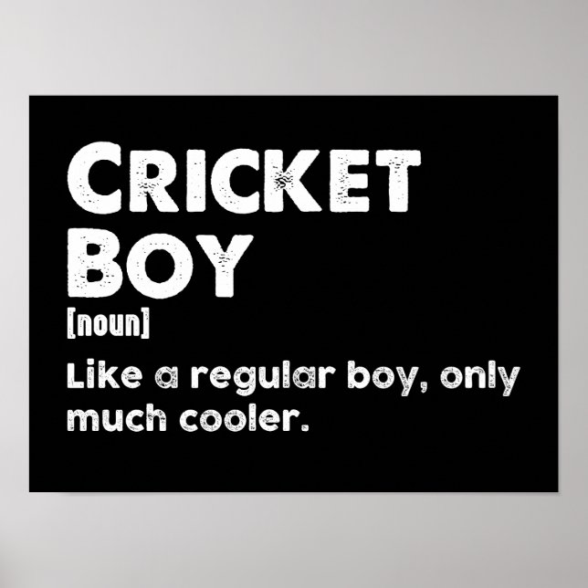 Poster Cricket Boy Engraçado Definição Cricket Lover (Frente)