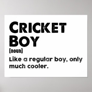 Poster Cricket Boy Engraçado Definição de Dicionário