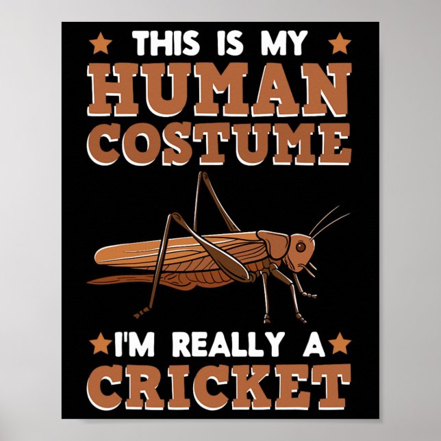 Poster Cricket Breeder Insect Enthusiast Entomologist Hum (Frente)