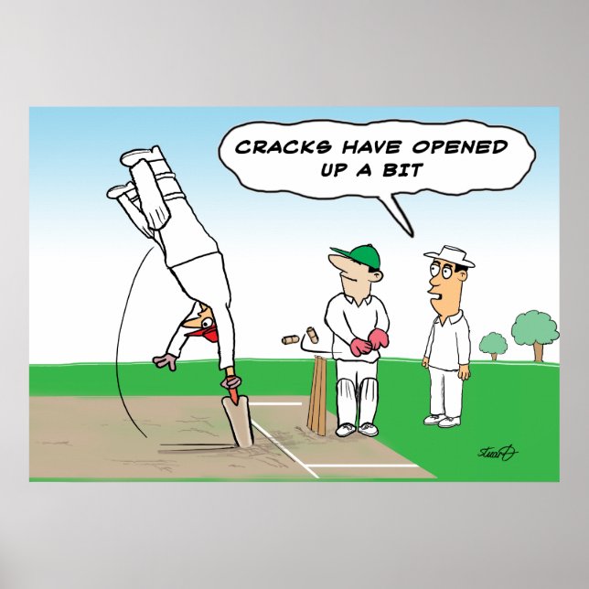 Poster Cricket - Cricket Engraçado (Frente)