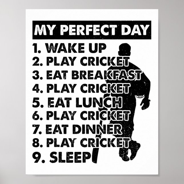 Poster Cricket Day Plan Cricket Player  (Frente)