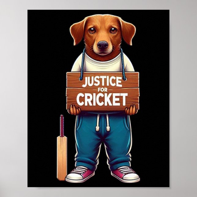 Poster Cricket de Equipe  (Frente)
