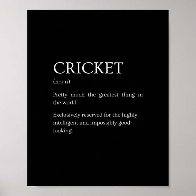 Poster Cricket Definition - Funny Sarcastic Cricket Expla (Frente)