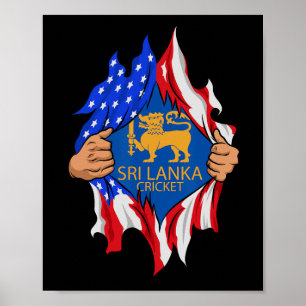 Poster Cricket do Sri Lanka Bandeira dos EUA Perfeito par