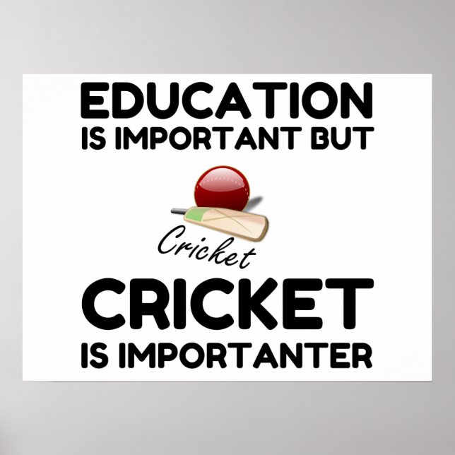 POSTER CRICKET É IMPORTANTE (Frente)