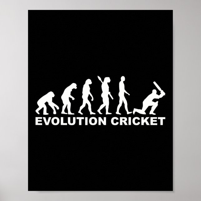 Poster Cricket Evolução (Frente)