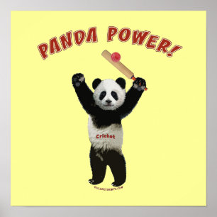 Pôster Cricket Panda Power