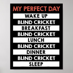 Poster Cricket para Cegos Meu Dia Perfeito Rotina Diária