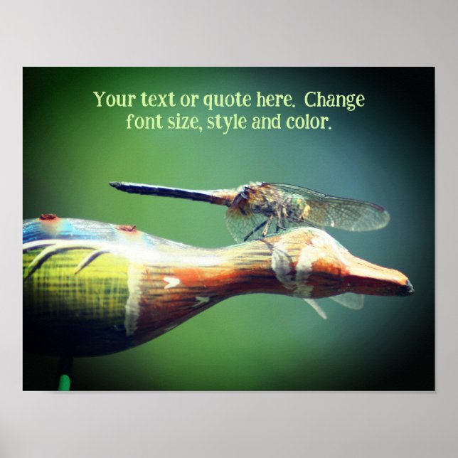Poster Crie a sua própria natureza do Dragonfly de texto (Frente)