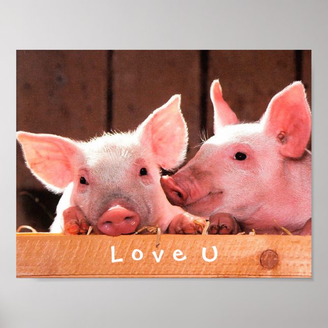 Pôster Crie Sua Foto Engraçada Te Ama Personalizado (Frente)