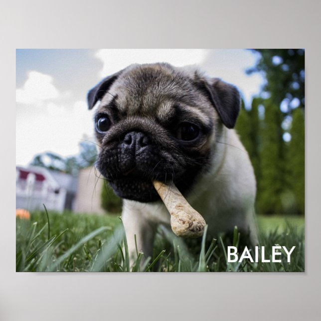 Pôster Crie sua própria foto personalizada (Frente)