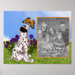 Poster Crie Sua Própria Fotografia, Borboleta Dalmaciana