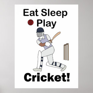 Poster Críquete Esportes Comer Dormir Jogar Críquete