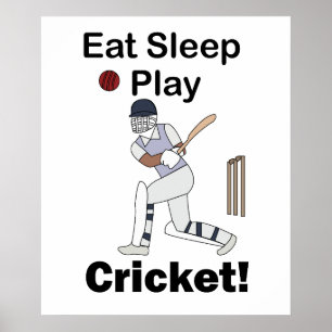 Poster Críquete Esportes Comer Dormir Jogar Críquete