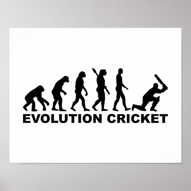 Poster Críquete Evolution (Frente)