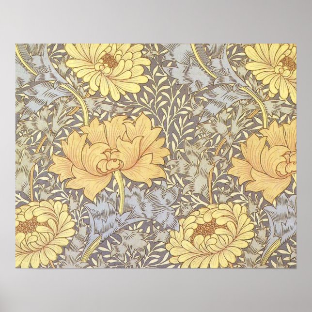 Pôster Crisântemo Flor Bonita William Morris (Frente)